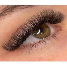 Hybrid Lash Extensions